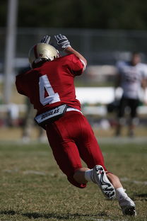 华体会网站-法甲球队情绪波动对技战术执行稳定性的影响探讨