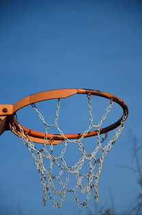 华体会官方网站-篮球运动员专项体能训练计划智能化设计与实施，篮球运动员体能训练的内容有哪些