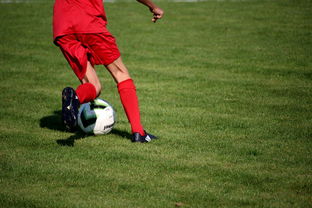 华体会网站-篮球运动员心理健康维护与干预体系构建,篮球运动员心理训练